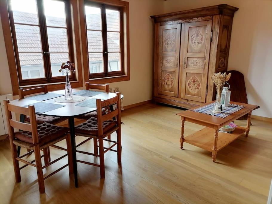 Appartement Et Terrasse Privee Ingolsheim エクステリア 写真