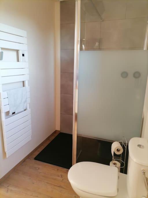 Appartement Et Terrasse Privee Ingolsheim エクステリア 写真