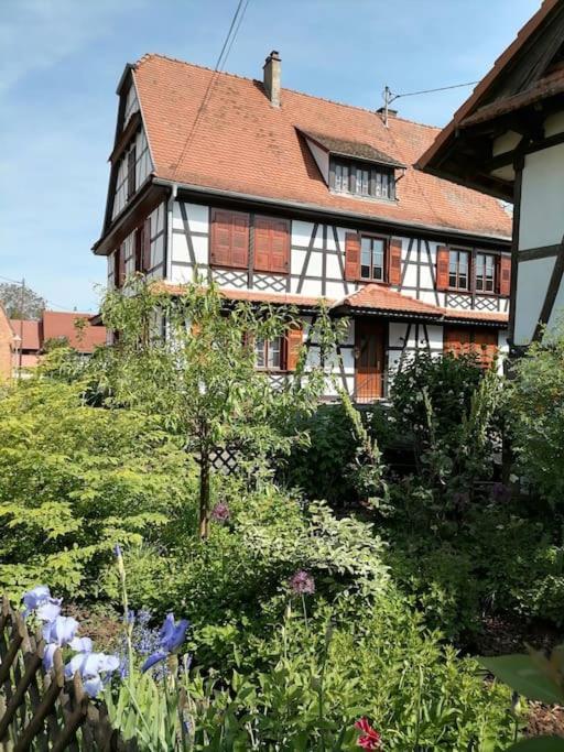 Appartement Et Terrasse Privee Ingolsheim エクステリア 写真