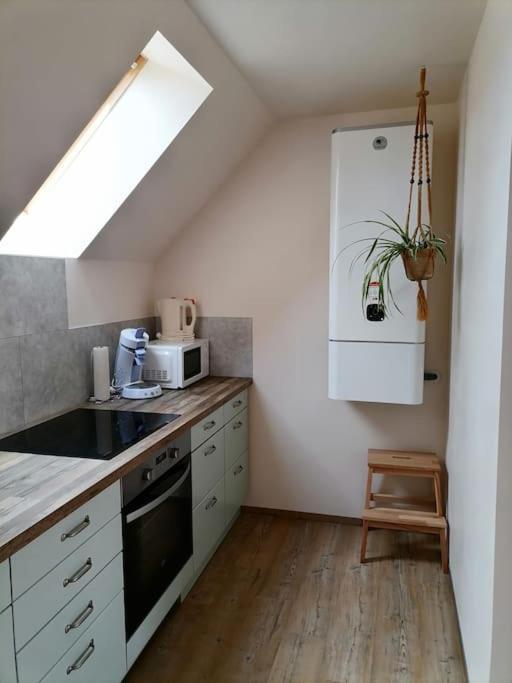 Appartement Et Terrasse Privee Ingolsheim エクステリア 写真