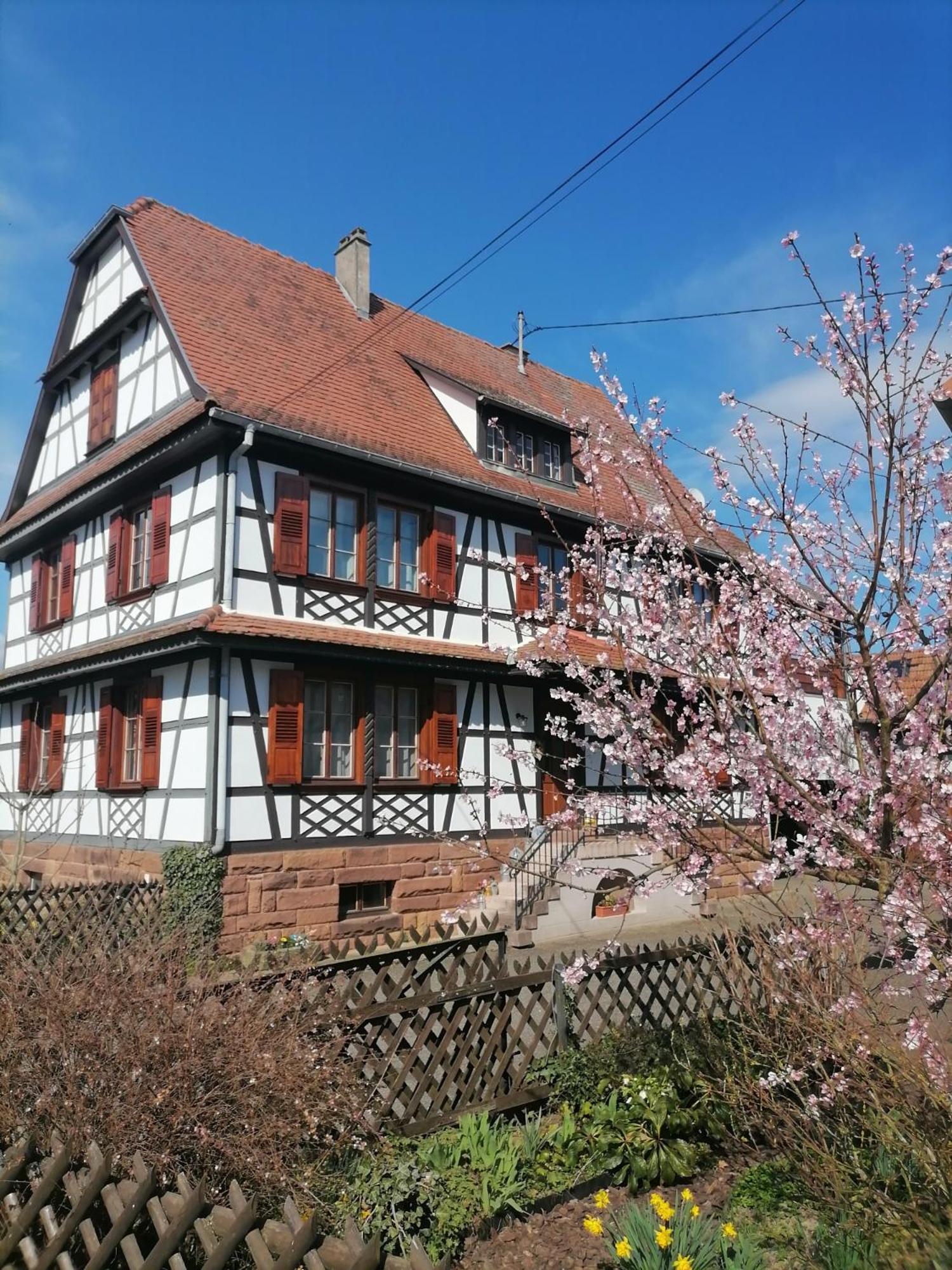 Appartement Et Terrasse Privee Ingolsheim エクステリア 写真
